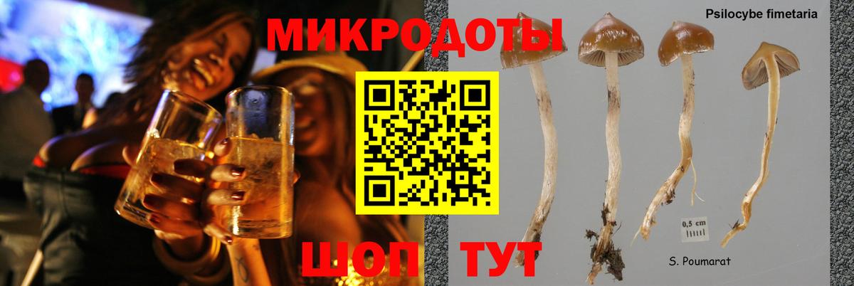 Галлюциногенные грибы Psilocybe  Вход с VPN  как найти наркотики  Фрязино  Псилоцибиновые грибы Psilocybine cubensis 